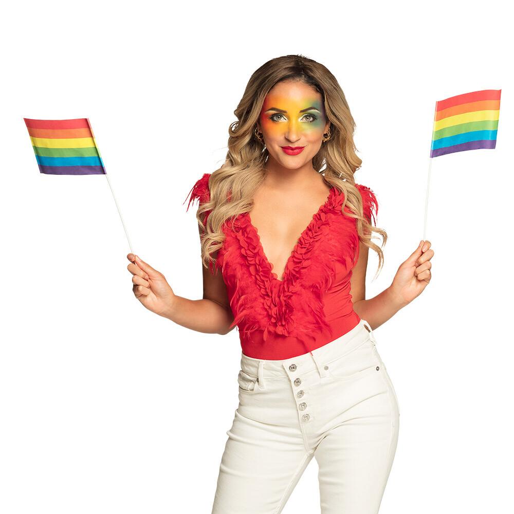 Prideflagg håndflagg 6 pakning papir