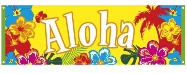 Banner Hawaii ALOHA 220*74 cm - Stoff