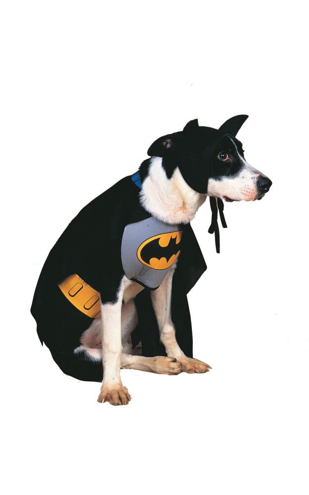 Batman Dog Costume