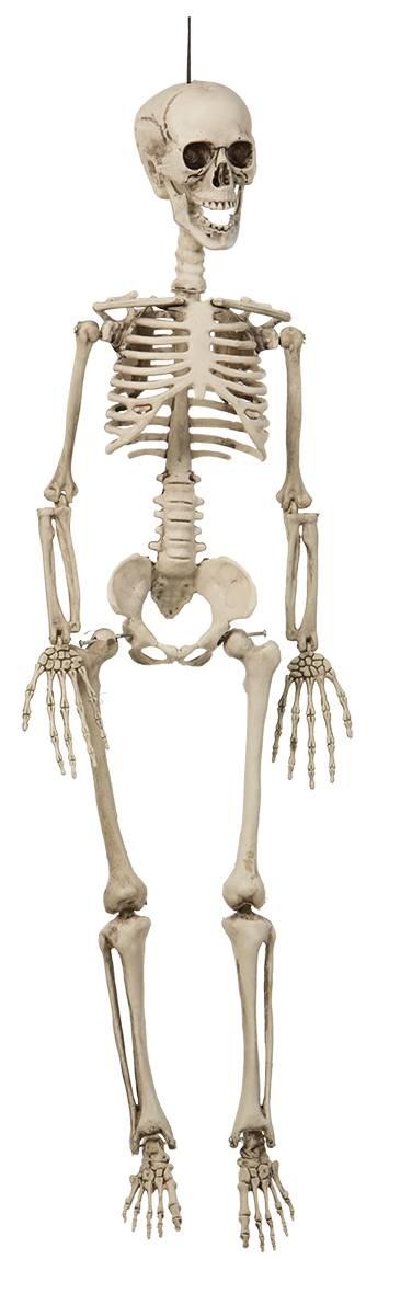 Hengende Beinrangel Skjelett ca 90 cm