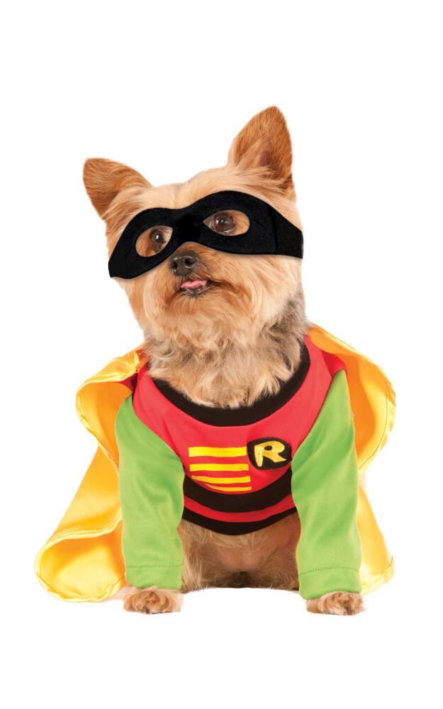 Robin Dog Costume