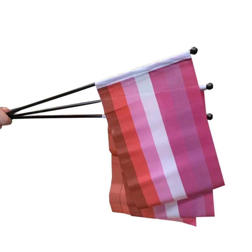 Lesbisk - Håndflagg på pinne - Small