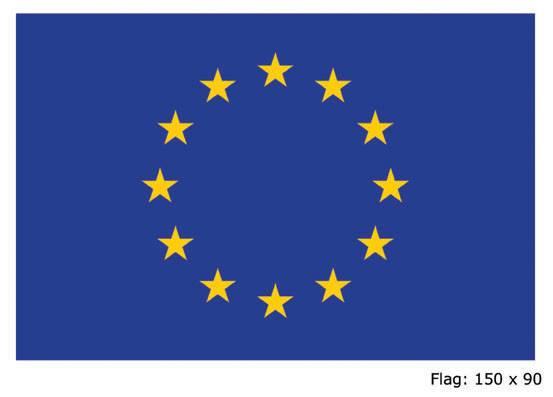 EU FLAGG STORT