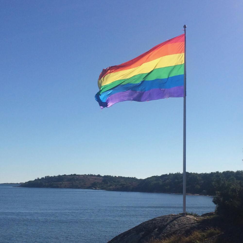 Prideflagg Mega 3 * 4,5 meter med D-loop