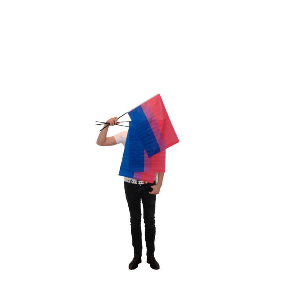 Biseksuell - Håndflagg på pinne - Medium