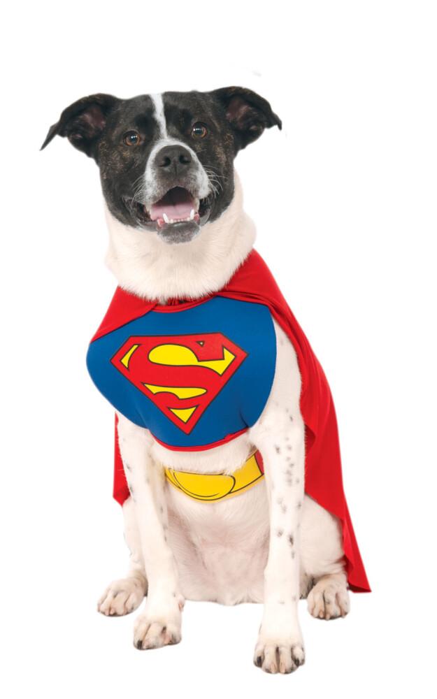 Superman Dog Costume